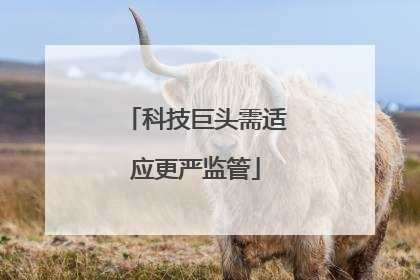 科技巨头需适应更严监管