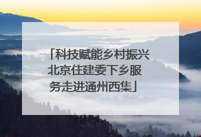 科技赋能乡村振兴 北京住建委下乡服务走进通州西集