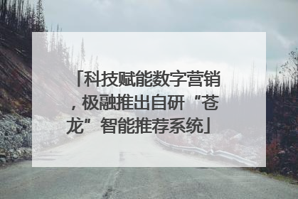 科技赋能数字营销，极融推出自研“苍龙”智能推荐系统