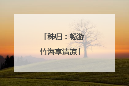 秭归：畅游竹海享清凉