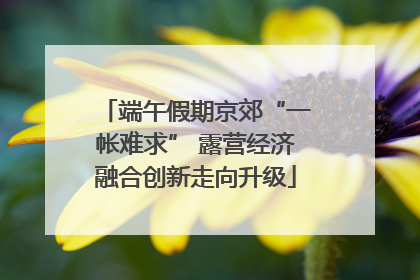端午假期京郊“一帐难求” 露营经济融合创新走向升级