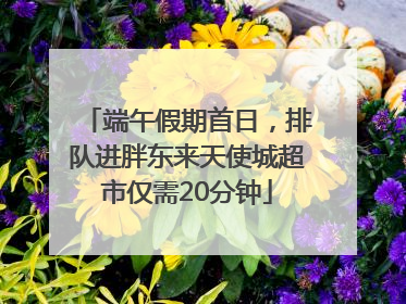 端午假期首日，排队进胖东来天使城超市仅需20分钟