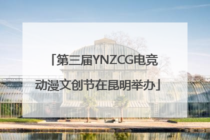 第三届YNZCG电竞动漫文创节在昆明举办