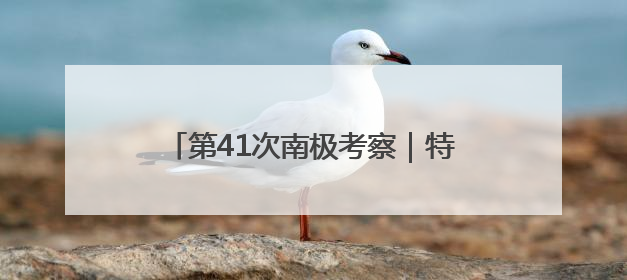 第41次南极考察｜特写：港口来了中国船