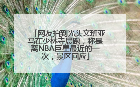 网友拍到光头文班亚马在少林寺晨跑，称是离NBA巨星最近的一次，景区回应