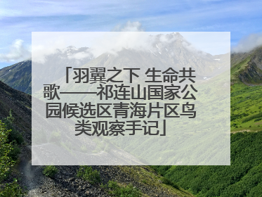 羽翼之下 生命共歌——祁连山国家公园候选区青海片区鸟类观察手记