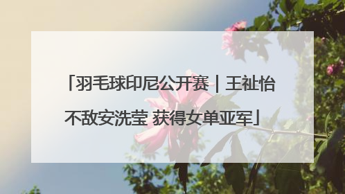 羽毛球印尼公开赛｜王祉怡不敌安洗莹 获得女单亚军