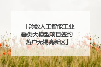 羚数人工智能工业垂类大模型项目签约落户无锡高新区