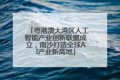 粤港澳大湾区人工智能产业创新联盟成立，南沙打造全球AI产业新高地
