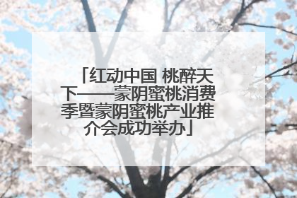 红动中国 桃醉天下——蒙阴蜜桃消费季暨蒙阴蜜桃产业推介会成功举办