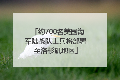约700名美国海军陆战队士兵将部署至洛杉矶地区