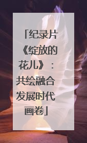 纪录片《绽放的花儿》：共绘融合发展时代画卷