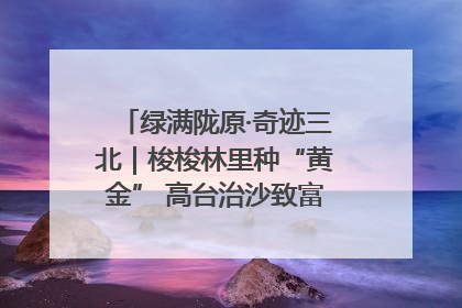绿满陇原·奇迹三北｜梭梭林里种“黄金” 高台治沙致富很“从容”