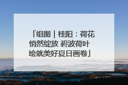 组图｜桂阳：荷花悄然绽放 碧波荷叶绘就美好夏日画卷