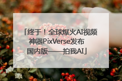 终于！全球爆火AI视频神器PixVerse发布国内版——拍我AI