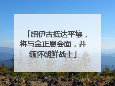 绍伊古抵达平壤，将与金正恩会面，并缅怀朝鲜战士