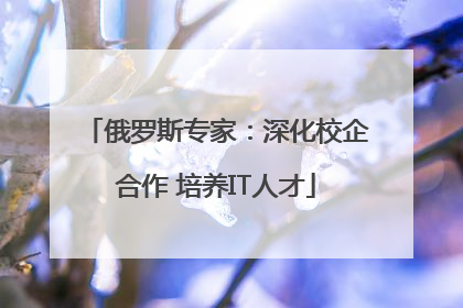 俄罗斯专家：深化校企合作 培养IT人才