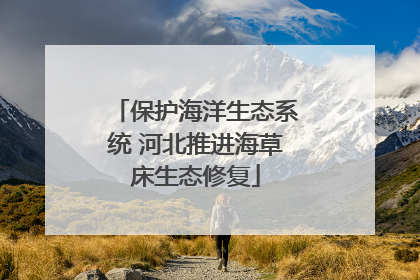 保护海洋生态系统 河北推进海草床生态修复