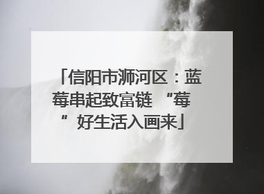 信阳市浉河区：蓝莓串起致富链 “莓”好生活入画来