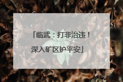 临武：打非治违！深入矿区护平安