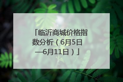 临沂商城价格指数分析（6月5日—6月11日）
