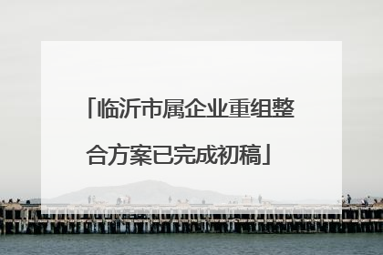 临沂市属企业重组整合方案已完成初稿