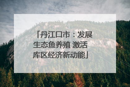 丹江口市：发展生态鱼养殖 激活库区经济新动能