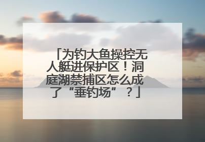 为钓大鱼操控无人艇进保护区！洞庭湖禁捕区怎么成了“垂钓场”？