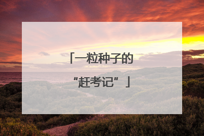 一粒种子的“赶考记”