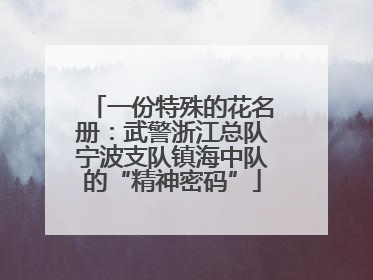 一份特殊的花名册：武警浙江总队宁波支队镇海中队的“精神密码”