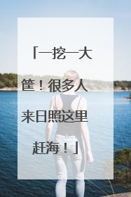 一挖一大筐！很多人来日照这里赶海！