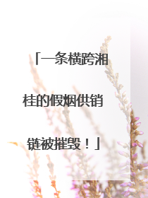 一条横跨湘桂的假烟供销链被摧毁！