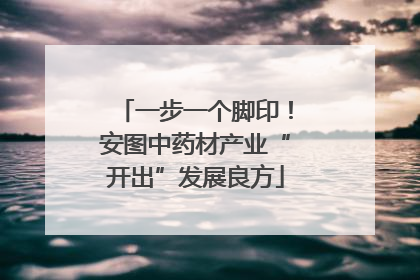 一步一个脚印！安图中药材产业“开出”发展良方