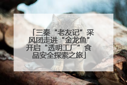 三秦“老友记”采风团走进“金龙鱼”开启“透明工厂”食品安全探索之旅