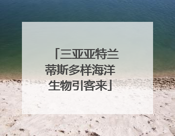 三亚亚特兰蒂斯多样海洋生物引客来