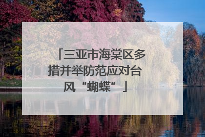 三亚市海棠区多措并举防范应对台风“蝴蝶”