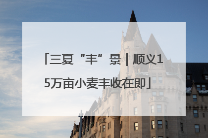 三夏“丰”景｜顺义15万亩小麦丰收在即