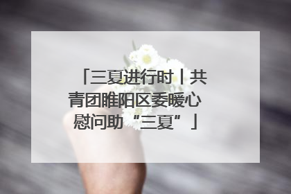 三夏进行时丨共青团睢阳区委暖心慰问助“三夏”