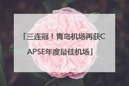 三连冠！青岛机场再获CAPSE年度最佳机场