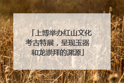 上博举办红山文化考古特展，呈现玉器和龙崇拜的渊源
