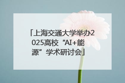 上海交通大学举办2025高校“AI+能源”学术研讨会