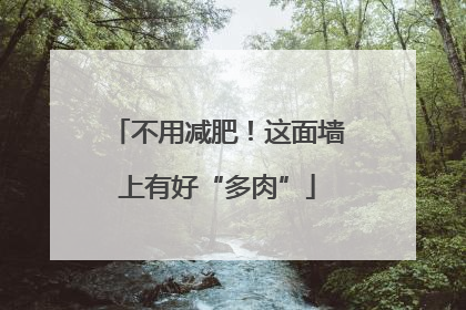 不用减肥！这面墙上有好“多肉”