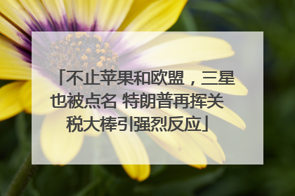不止苹果和欧盟，三星也被点名 特朗普再挥关税大棒引强烈反应