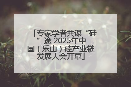 专家学者共谋“硅”途 2025年中国（乐山）硅产业链发展大会开幕