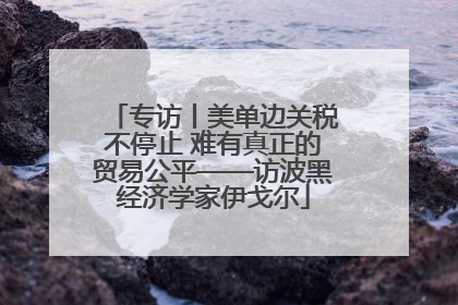 专访丨美单边关税不停止 难有真正的贸易公平——访波黑经济学家伊戈尔