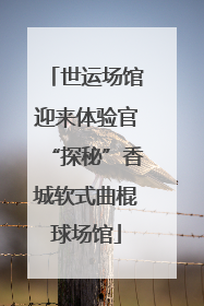 世运场馆迎来体验官“探秘”香城软式曲棍球场馆