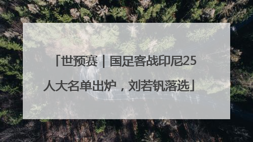 世预赛｜国足客战印尼25人大名单出炉，刘若钒落选