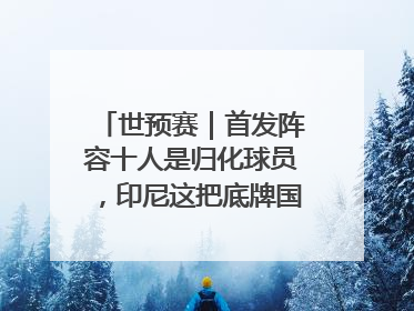 世预赛｜首发阵容十人是归化球员，印尼这把底牌国足如何应对？