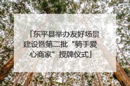 东平县举办友好场景建设暨第二批“骑手爱心商家”授牌仪式