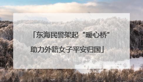 东海民警架起“暖心桥”助力外籍女子平安归国